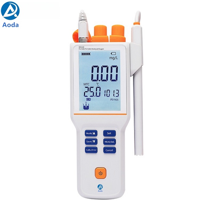 DO210E Portable Dissolved oxygen meter