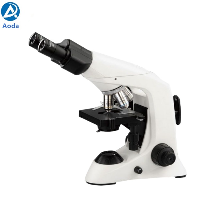B302 Series Biological Microscope