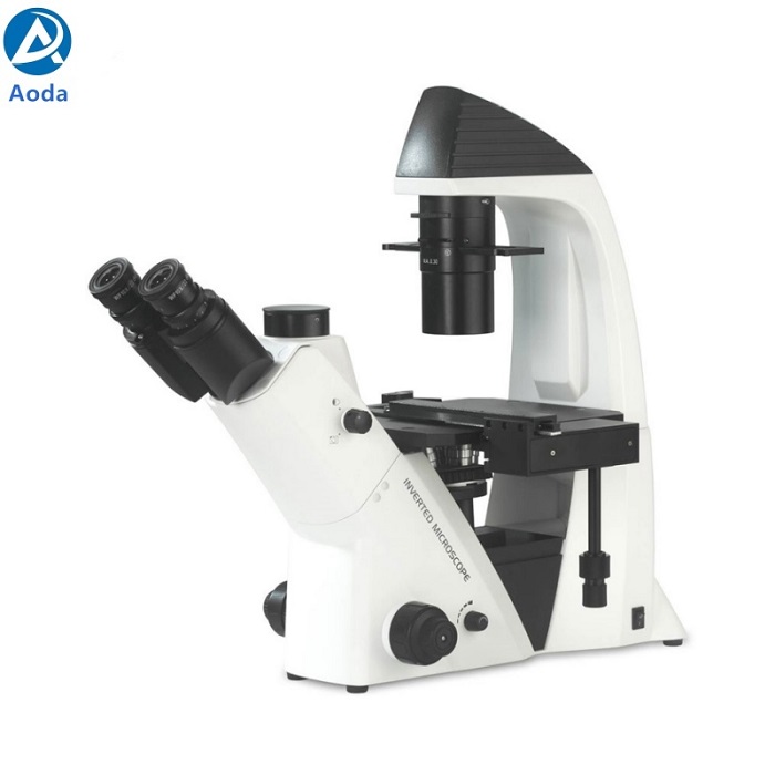 BDS400 Inverted Biological Microscope