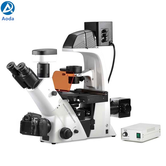 BDS500-FL Inverted fluorescence microscope ship to Mexico