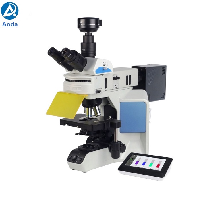 Reasearch-grade upright Fluorescence microscope