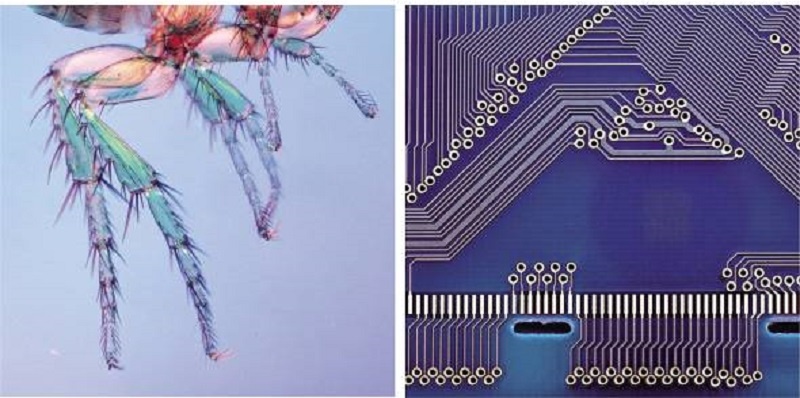 15668948010401.jpg