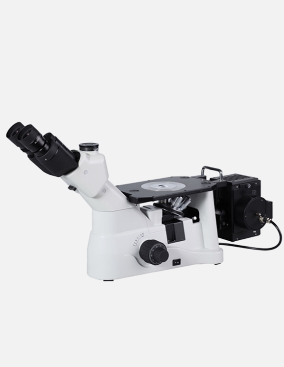 ff901b113cc70.jpg
