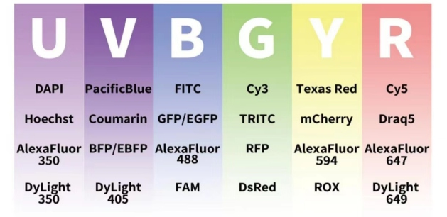 6a9a25518cd4c.png 图片2.png
