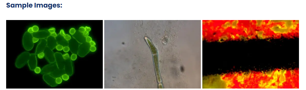 6aa28a492fd25.png ScreenShot_2026-09-10_183505_774.png